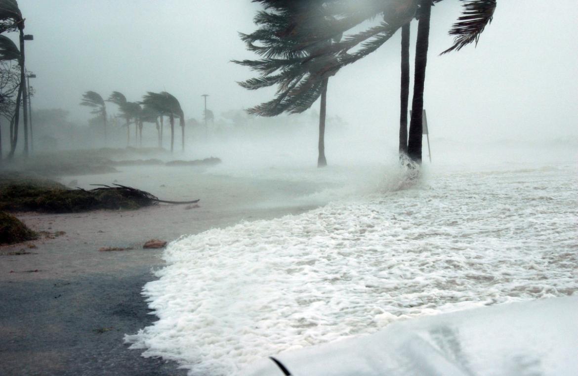 Climate of Insurance_Sustainability_News_featured image