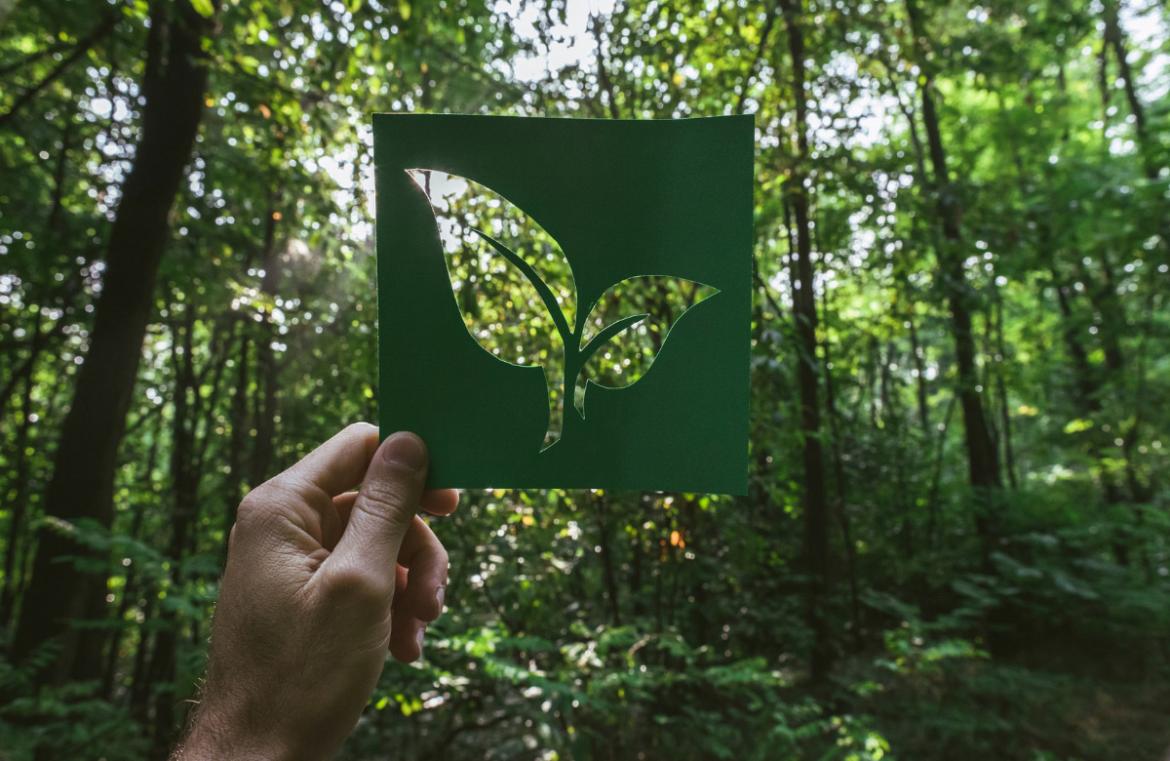 Sustainability Corner_featured image