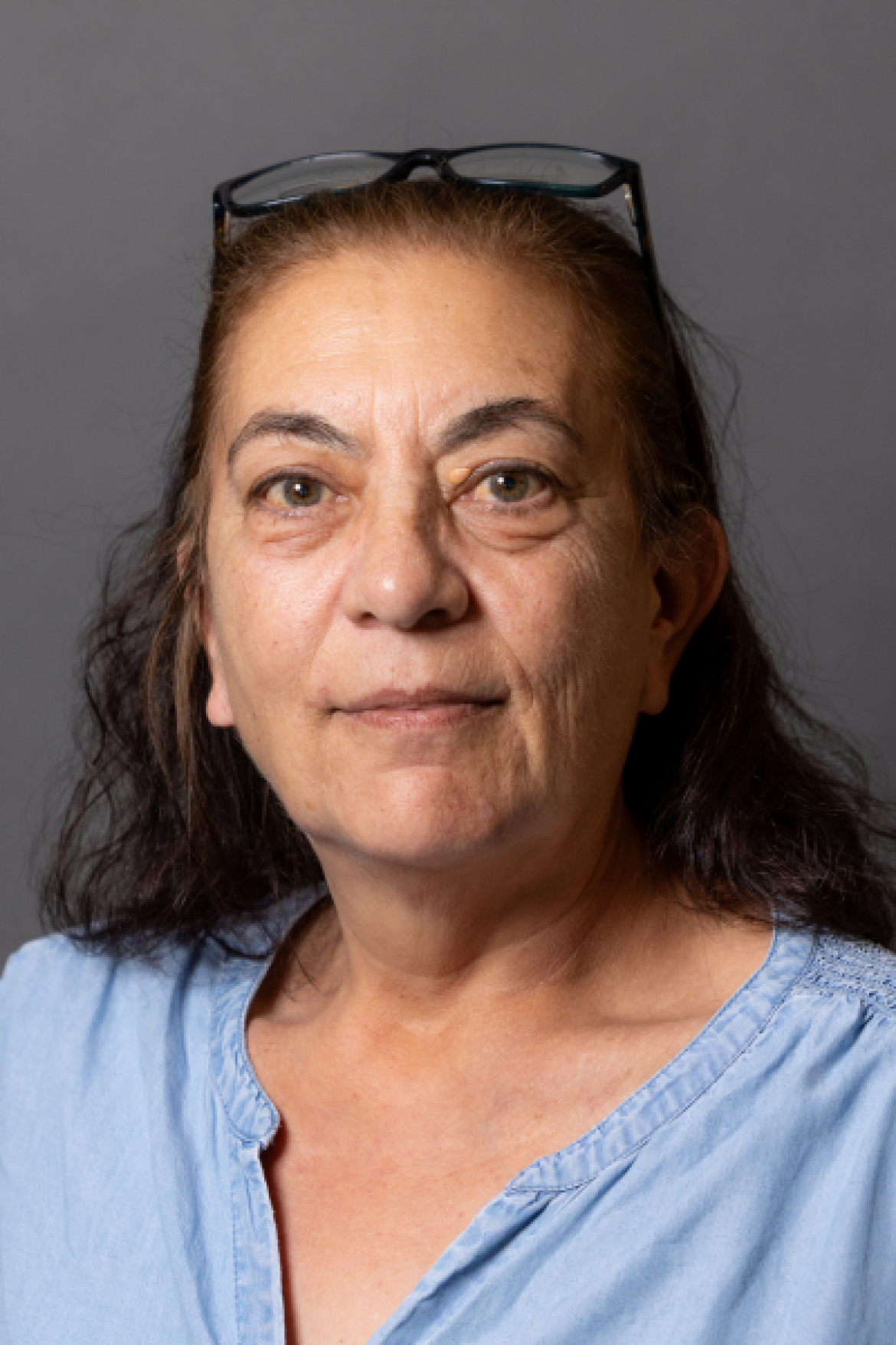 Deb Lipman