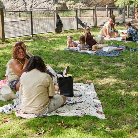 People on a picnic. 
