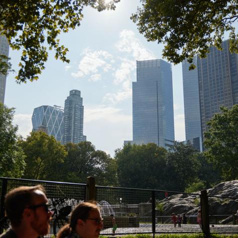 Photo of skyscrapers. 